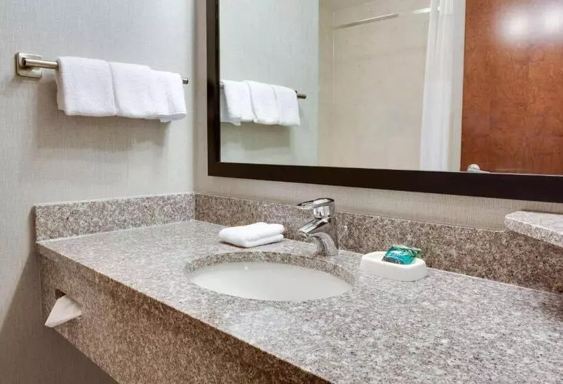 身障者適用スーペリアールーム, Drury Inn & Suites Middletown Franklin