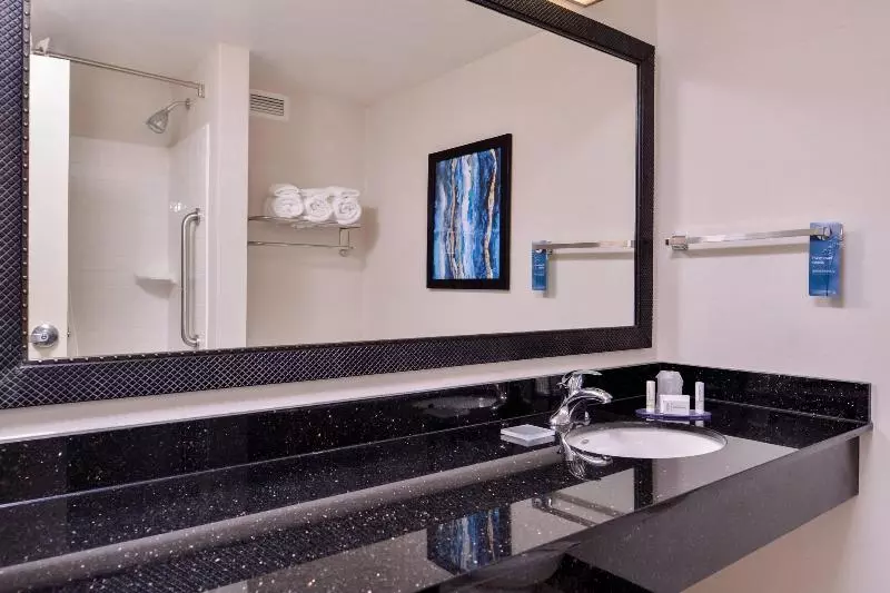 スタンダードスタジオ, Fairfield Inn & Suites Raleighdurham Airport/brier Creek