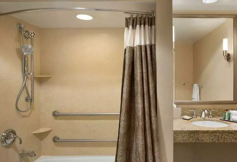 身障者適用キングサイズベッドルーム, Hilton Columbus Downtown