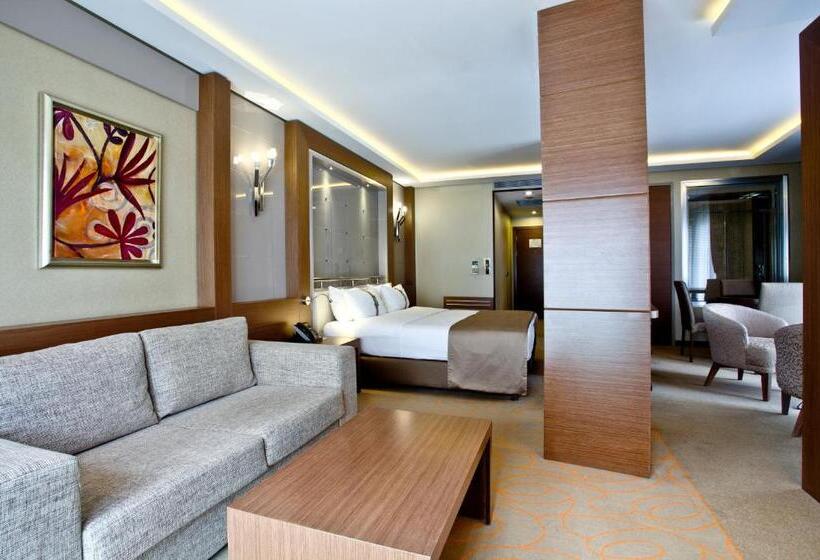 سوئیت با تخت بزرگ, Holiday Inn Ankara Kavaklidere, An Ihg