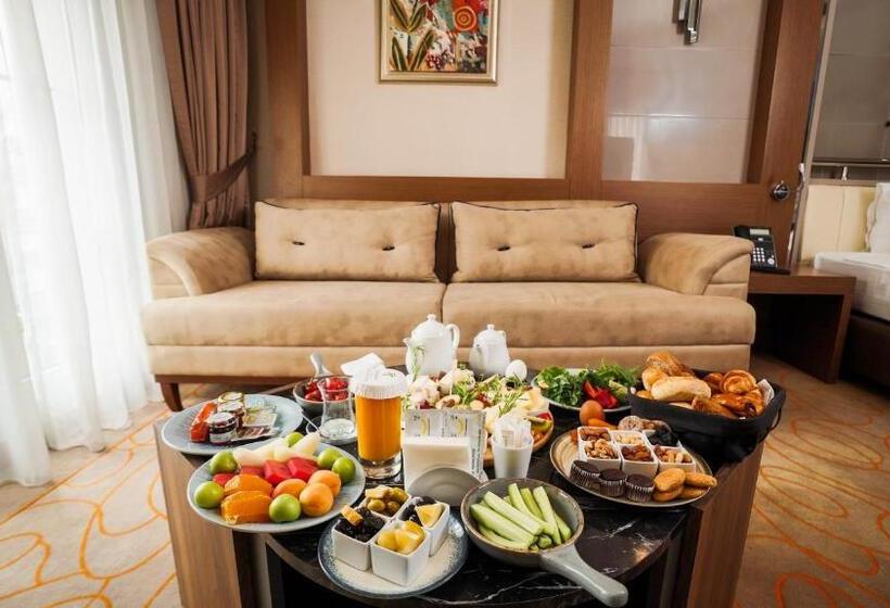 سوئیت با تخت بزرگ, Holiday Inn Ankara Kavaklidere, An Ihg
