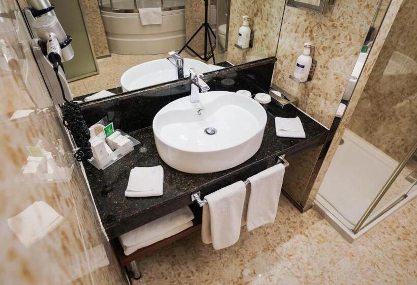 سوئیت با تخت بزرگ, Holiday Inn Ankara Kavaklidere, An Ihg