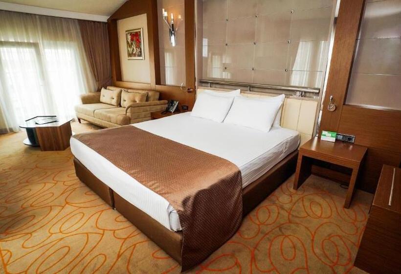 اتاق پرمیوم, Holiday Inn Ankara Kavaklidere, An Ihg
