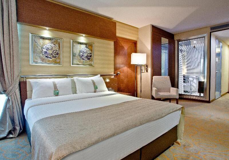 اتاق استاندارد برای معلولان, Holiday Inn Ankara Kavaklidere, An Ihg