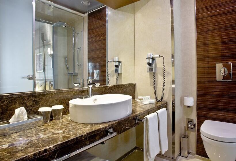 اتاق استاندارد, Holiday Inn Ankara Kavaklidere, An Ihg