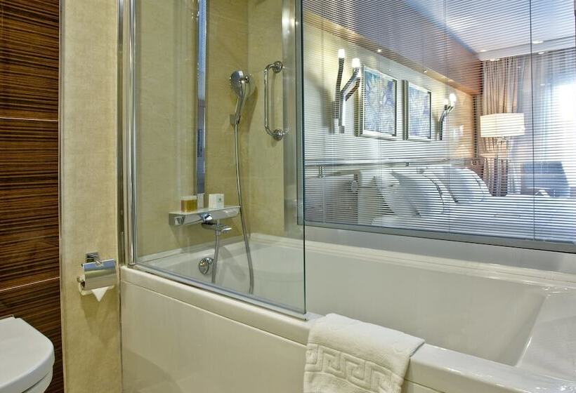 اتاق استاندارد, Holiday Inn Ankara Kavaklidere, An Ihg