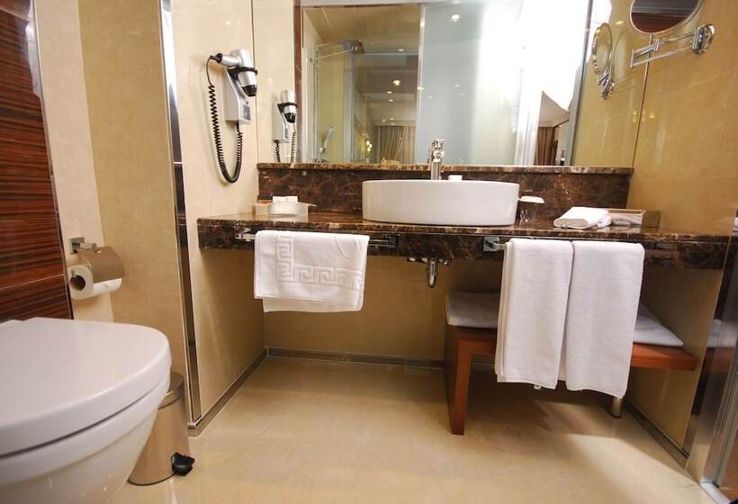 اتاق استاندارد, Holiday Inn Ankara Kavaklidere, An Ihg