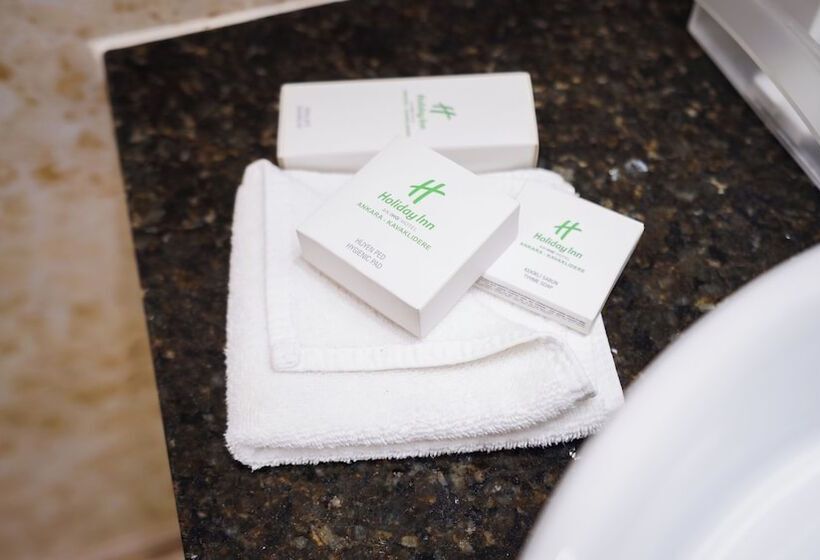 اتاق پرمیوم, Holiday Inn Ankara Kavaklidere, An Ihg