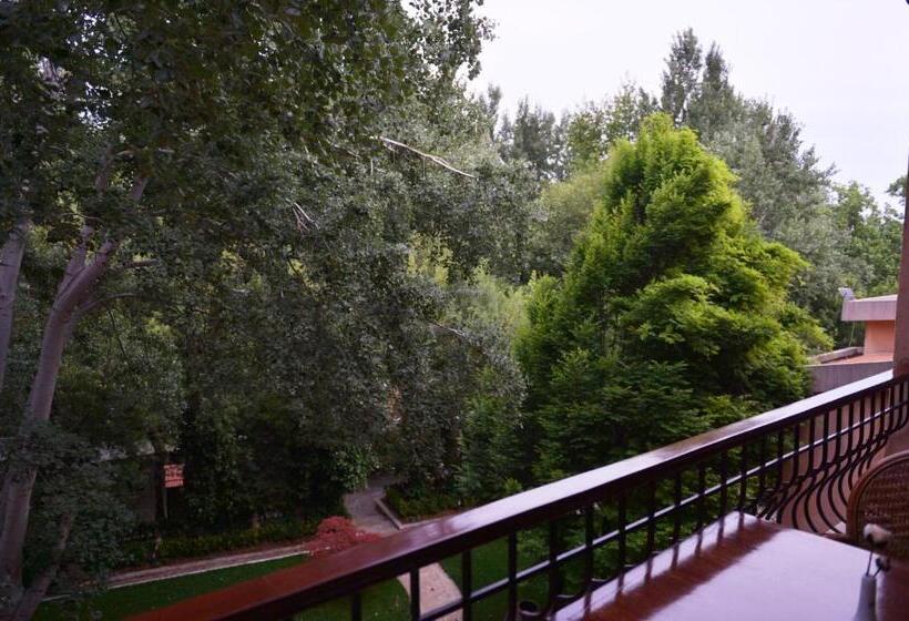 اتاق استاندارد, Massabki