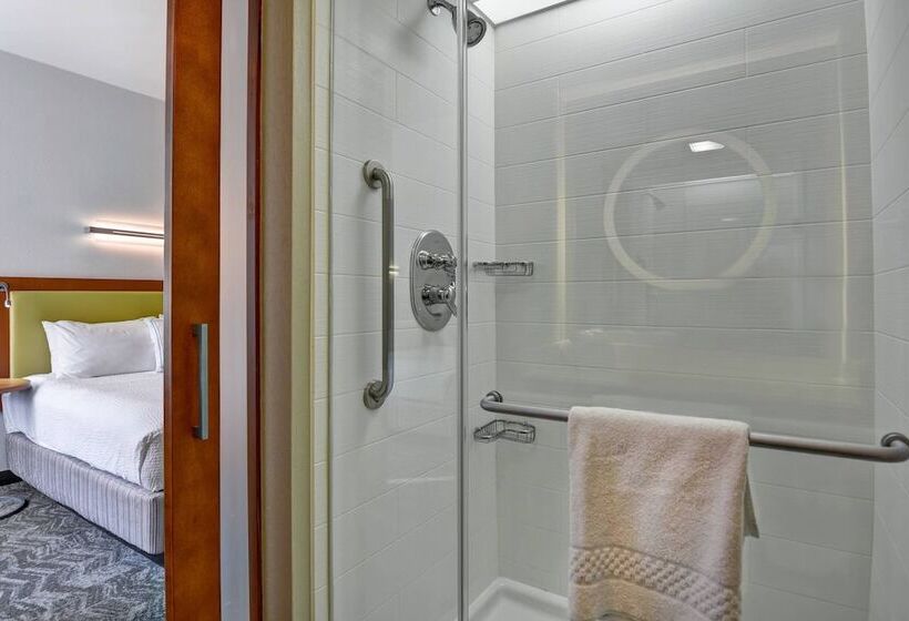 스탠다드 스튜디오, Springhill Suites By Marriott Cincinnati Midtown