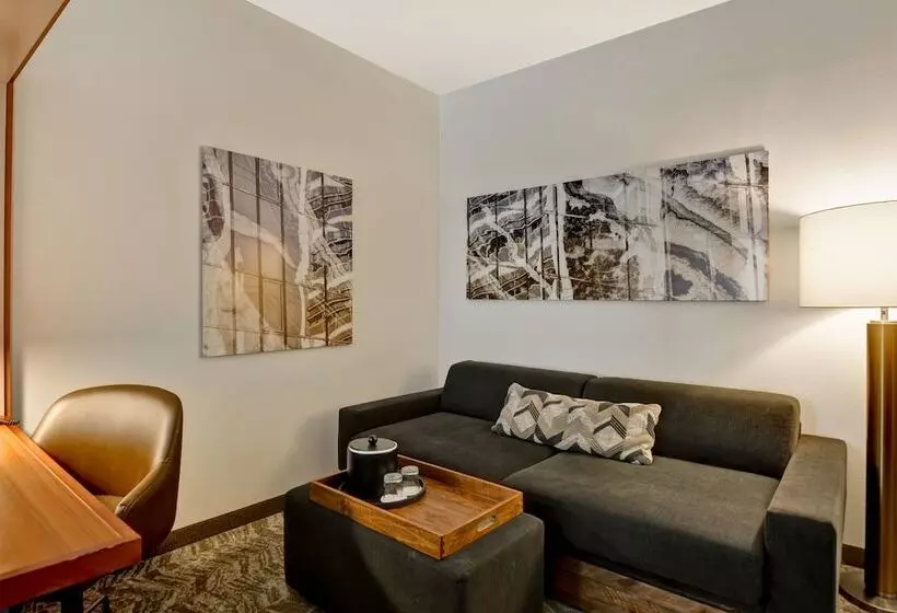 スタンダードスタジオ, Springhill Suites By Marriott Cincinnati Midtown