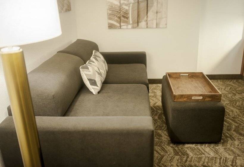 스탠다드 스튜디오, Springhill Suites By Marriott Cincinnati Midtown