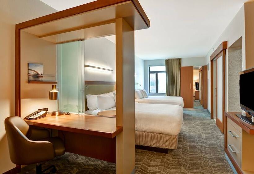 Студия Стандарт, Springhill Suites By Marriott Cincinnati Midtown