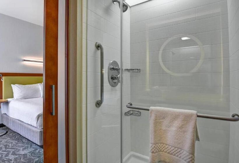Студио Стандарт Кровать Кинг, Springhill Suites By Marriott Cincinnati Midtown