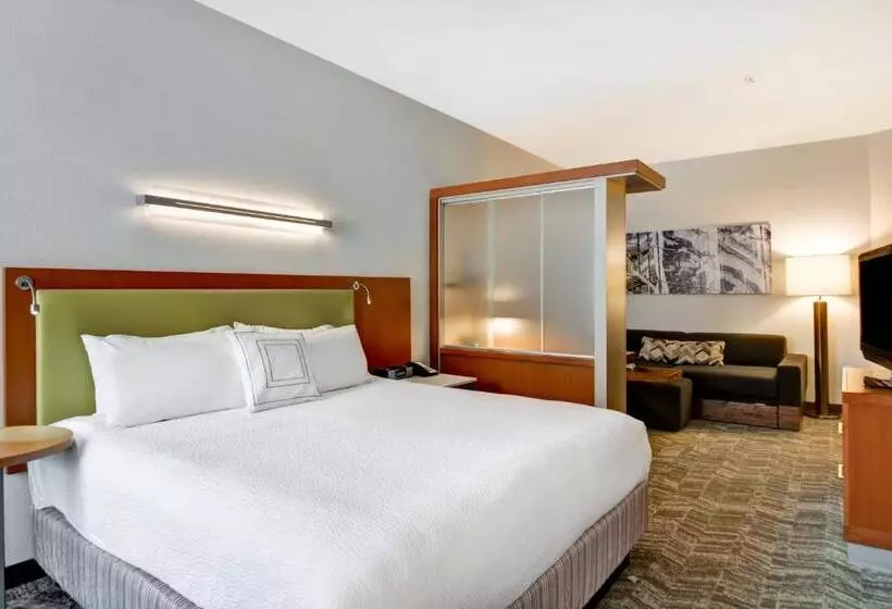 キングサイドベッドのスタンダードワンルーム, Springhill Suites By Marriott Cincinnati Midtown