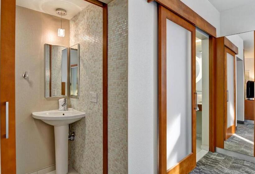 스탠다드 스튜디오, Springhill Suites By Marriott Cincinnati Midtown