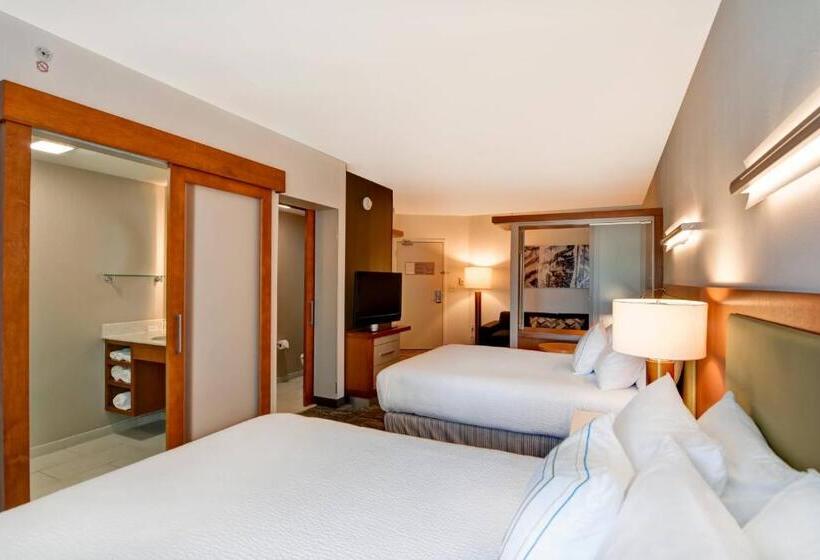 스탠다드 스튜디오, Springhill Suites By Marriott Cincinnati Midtown