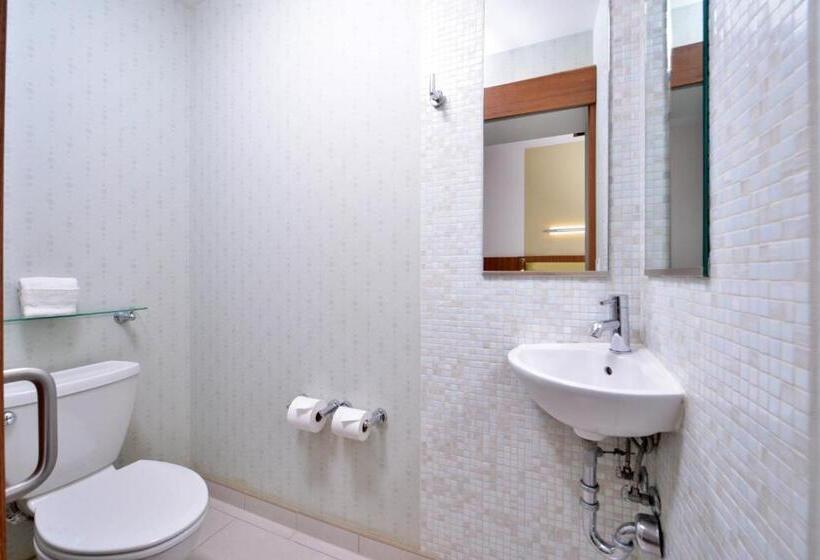 스탠다드 스튜디오 킹침대, Springhill Suites Kingman Route 66