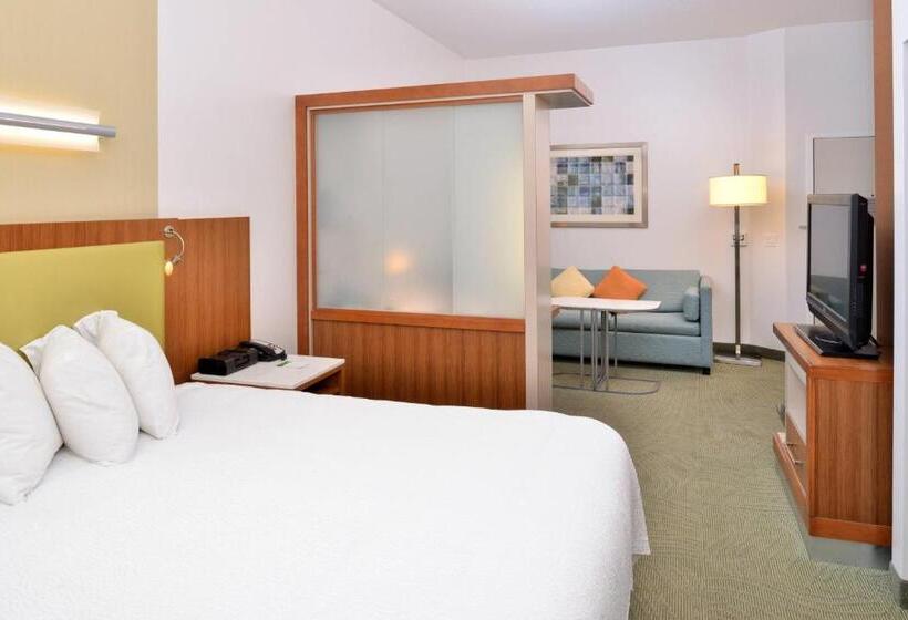 스탠다드 스튜디오 킹침대, Springhill Suites Kingman Route 66