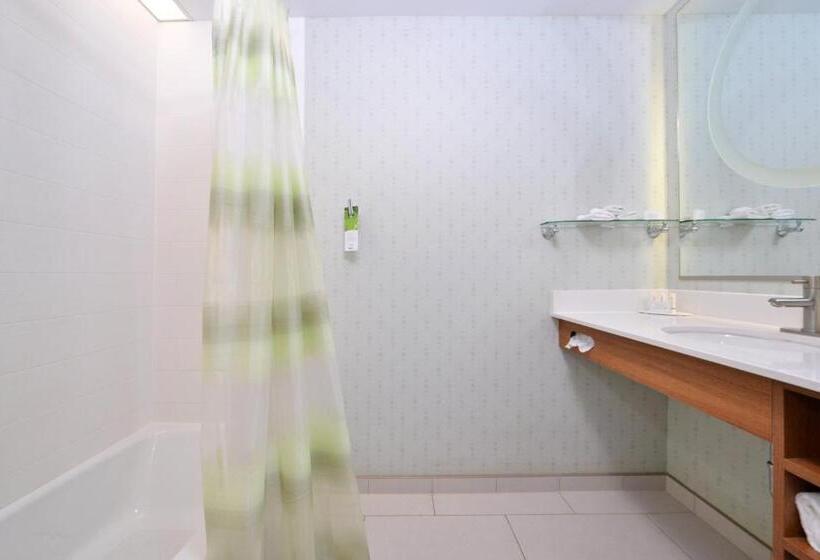 إستوديو قياسى, Springhill Suites Kingman Route 66