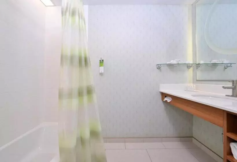 スタンダードスタジオ, Springhill Suites Kingman Route 66