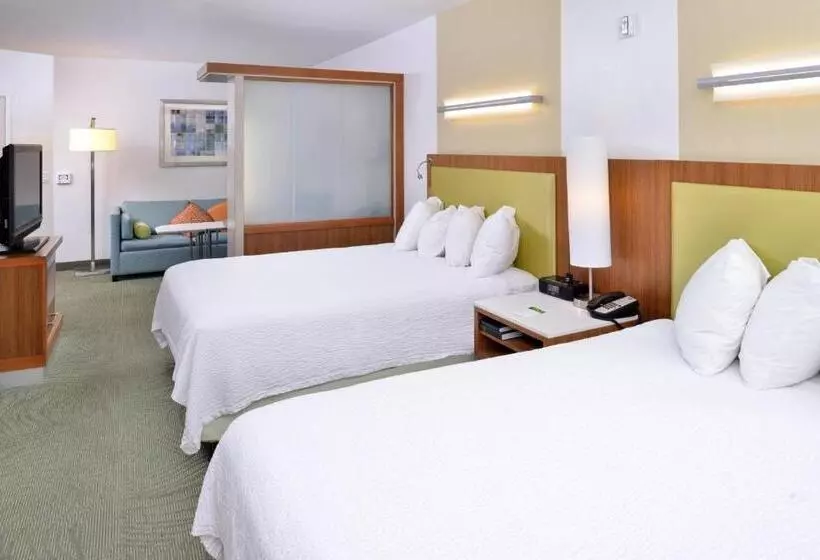 スタンダードスタジオ, Springhill Suites Kingman Route 66