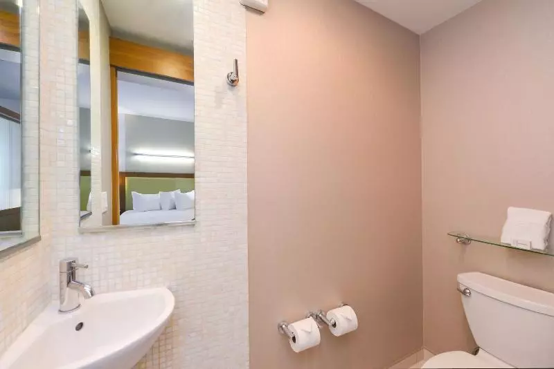 キングサイドベッドのスタンダードワンルーム, Springhill Suites Kingman Route 66