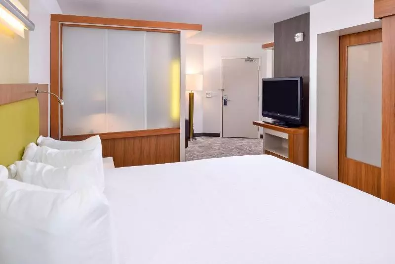 キングサイドベッドのスタンダードワンルーム, Springhill Suites Kingman Route 66