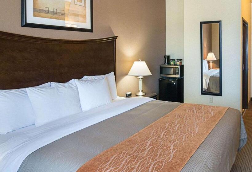 스탠다드 룸 킹사이즈 침대, Comfort Inn I20 Midland Stanton