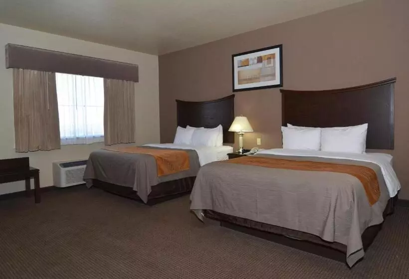 スタンダードルーム, Comfort Inn I20 Midland Stanton