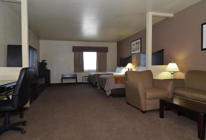 스탠다드 룸, Comfort Inn I20 Midland Stanton