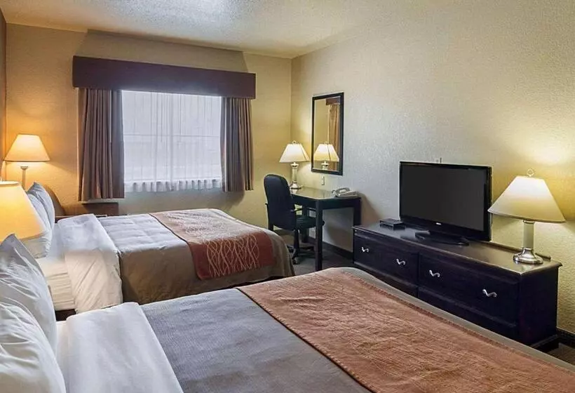 スタンダードルーム, Comfort Inn I20 Midland Stanton