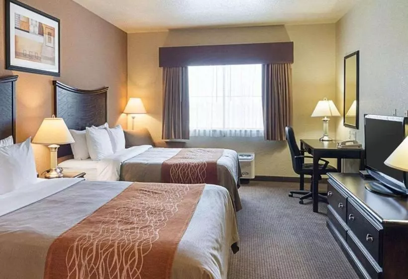 スタンダードルーム, Comfort Inn I20 Midland Stanton