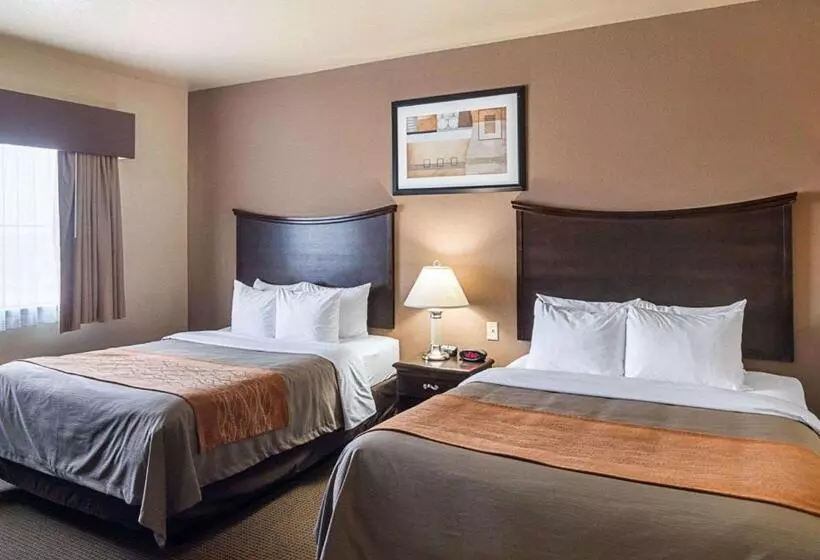 身障者適用スタンダードルーム, Comfort Inn I20 Midland Stanton