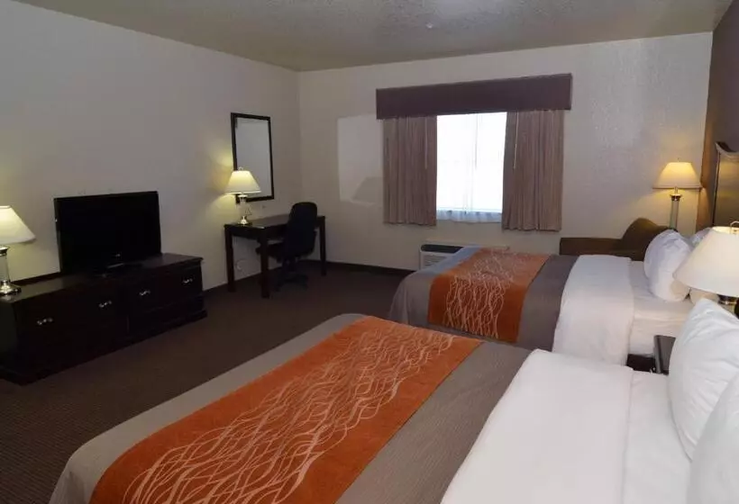 身障者適用スタンダードルーム, Comfort Inn I20 Midland Stanton