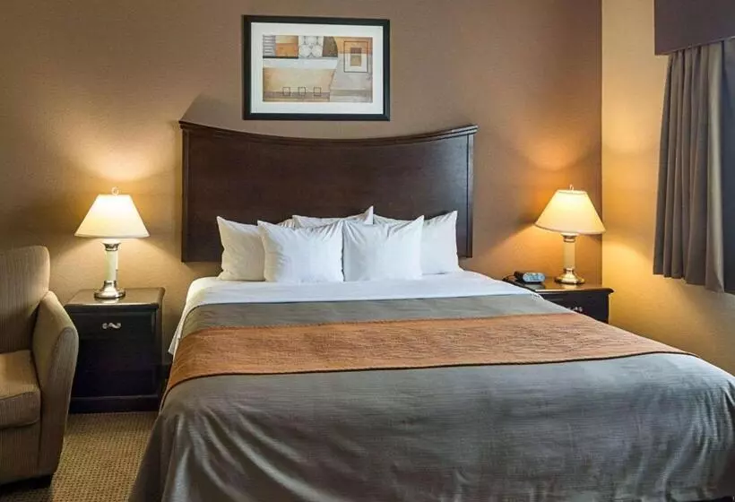 身障者適用キングサイズベッドルーム, Comfort Inn I20 Midland Stanton