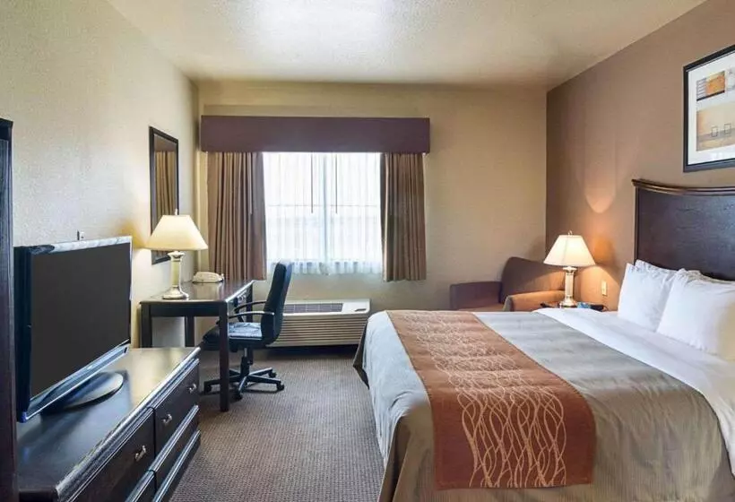 身障者適用キングサイズベッドルーム, Comfort Inn I20 Midland Stanton