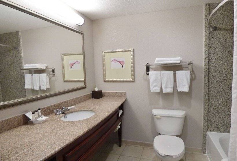 סוויטה עם ג'קוזי, Country Inn & Suites By Radisson, Pensacola West, Fl