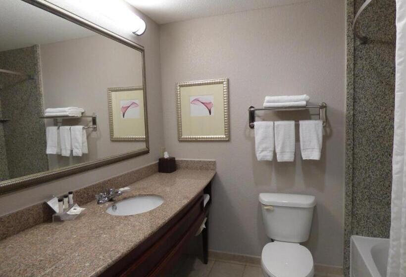 Люкс, Country Inn & Suites By Radisson, Pensacola West, Fl