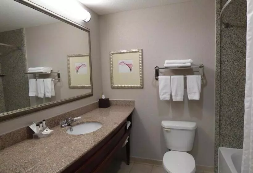 ハイドロマッサージバス付きスイート, Country Inn & Suites By Radisson, Pensacola West, Fl