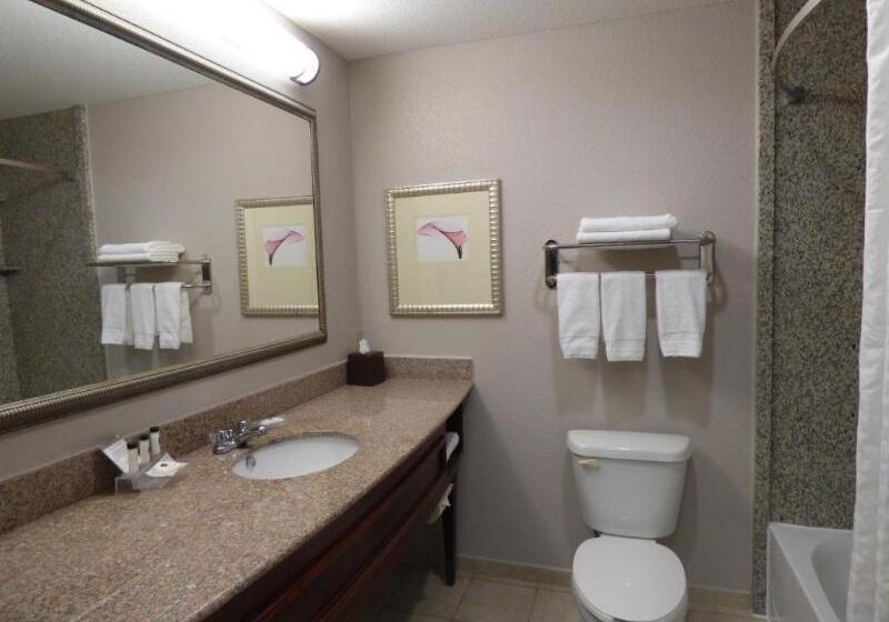 מיטת קינג בסוויטה, Country Inn & Suites By Radisson, Pensacola West, Fl