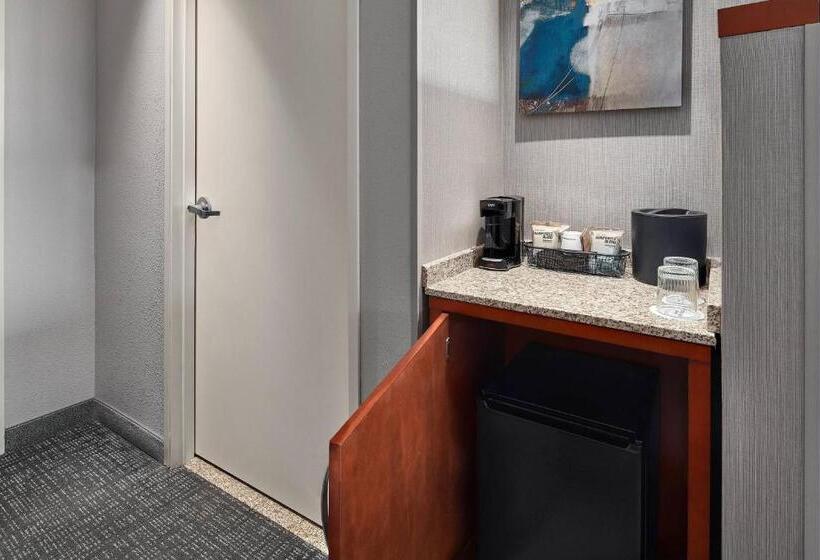 اتاق استاندارد با چشمانداز شهر, Courtyard Shreveportbossier City/louisiana Boardwalk