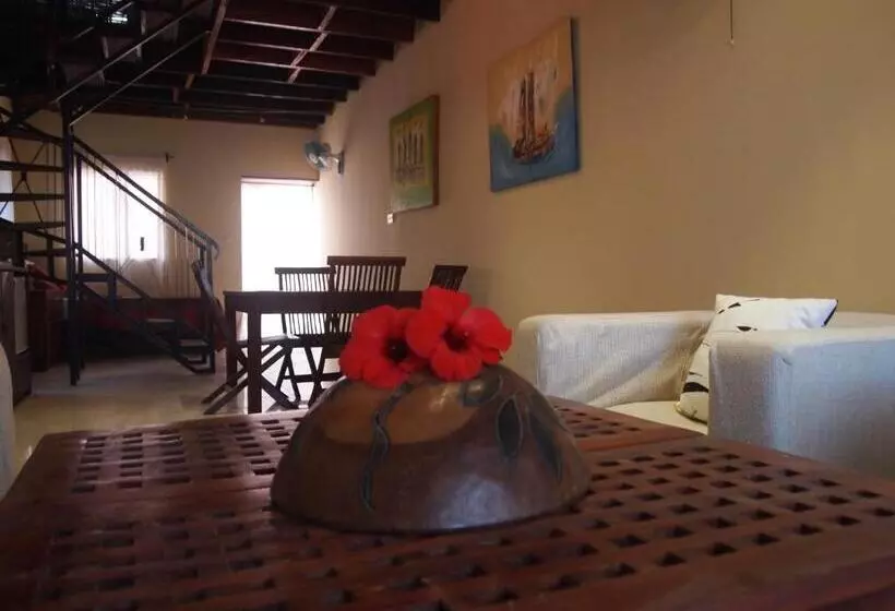 سوییت, Hibiscus House Gambia