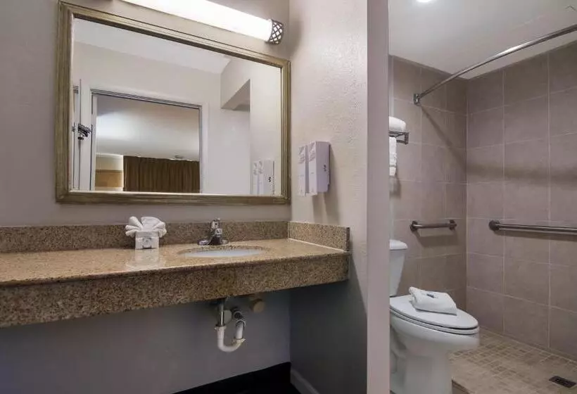 障害者適応デラックスルーム, Red Roof Inn Vero Beach   I 95