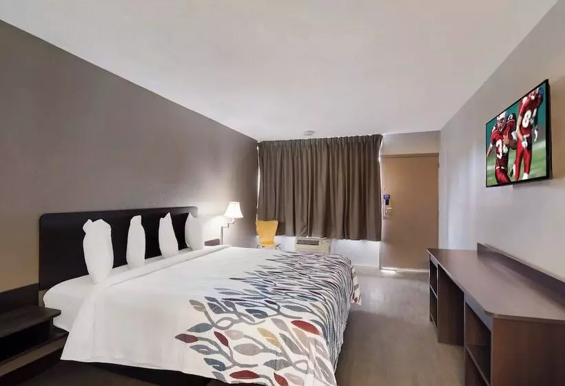 デラックスルーム, Red Roof Inn Vero Beach   I 95