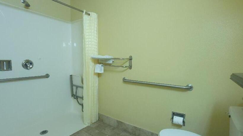 غرفة قياسية سرير كينج لذوى الإحتياجات الخاصة, Lakeview Inn Lucerne