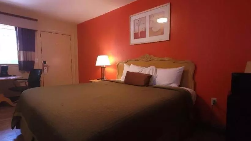 身障者適用キングサイズベッドルーム, Lakeview Inn Lucerne