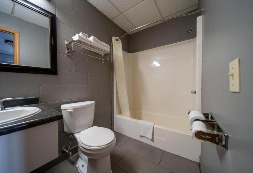 חדר סטנדרט עם מיטת קינג, Sleep Ees Inn, Saginaw & Shields