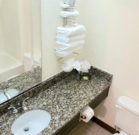 스탠다드 룸 킹사이즈 침대, Bicentennial Inn