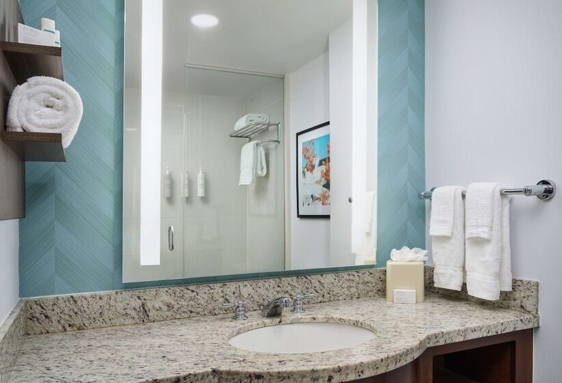 Suíte Júnior, Hilton Garden Inn Atlanta Midtown